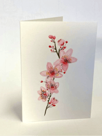 product-sub-image